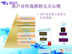 企業互聯網營銷策劃與銷售實戰指南